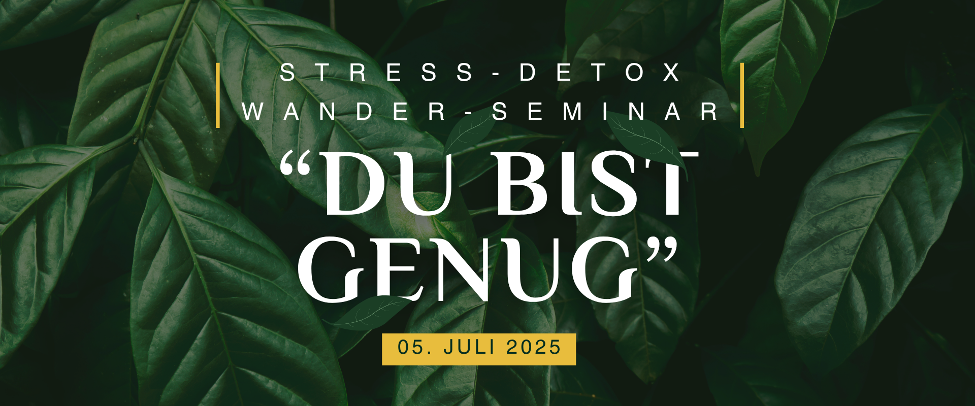 Stress-Detox Wander-Seminar