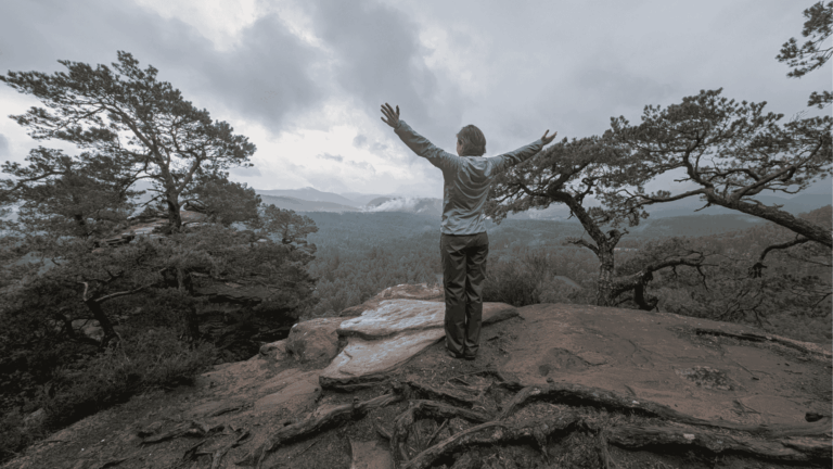 Neues Seminar Hier und Jetzt