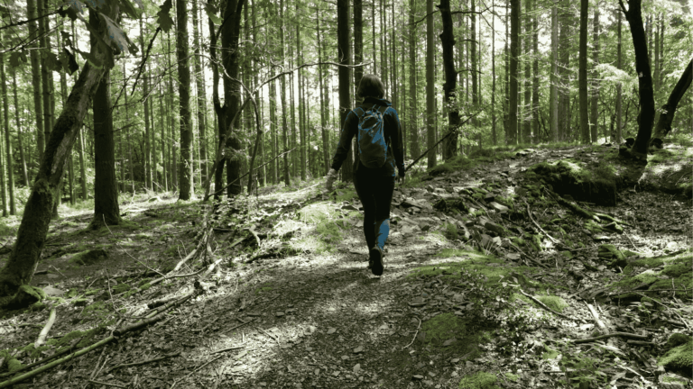 Natur als Heilmittel gegen digitalen Stress?