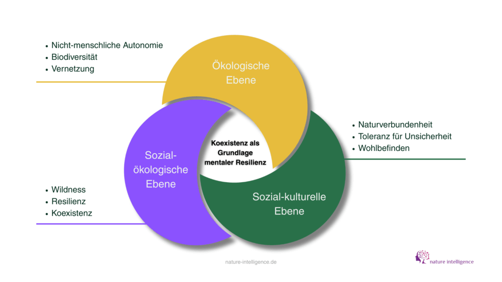 Social Rewilding Infografik