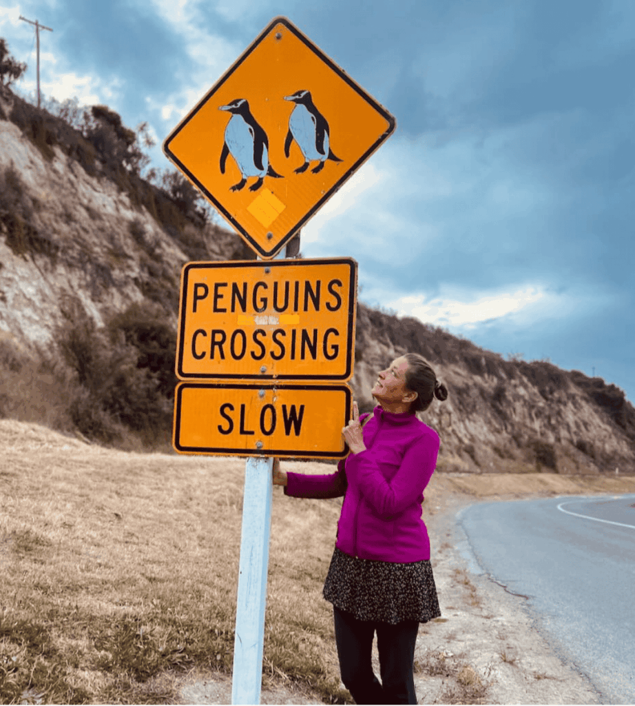 Vorsicht Pinguine! Claudia in Oamaru auf Neuseeland